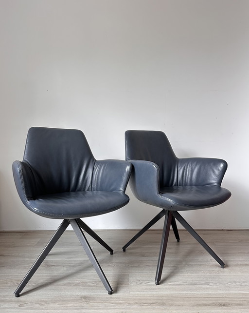 4x Bert Plantagie Maple Design Chairs