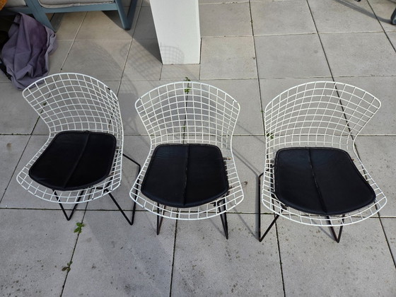 3 vintage Harry Bertoia chairs (Knoll) – Dining chairs, Metal (photo 8 of 8)