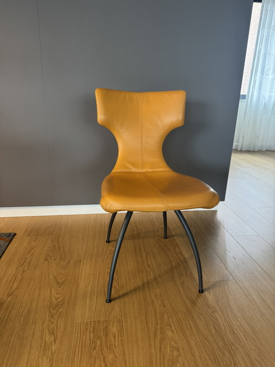 Leolux 6 Eetkamer Stoelen – Eetkamerstoelen, Leather, Metal (photo 6 of 6)