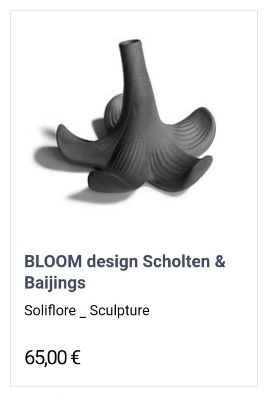 Image 1 of Jarrón de diseño / Jarrón de porcelana Bloom