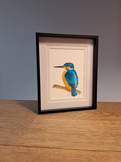 Dipinto ad acquerello di un martin pescatore | Lista nera