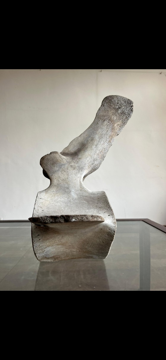 Image 1 of Eine Skulptur aus dem Meer