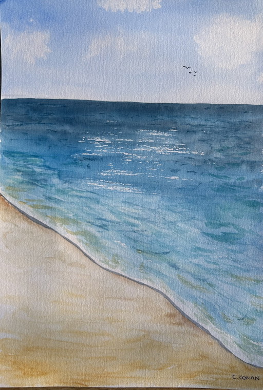 Watercolor seaside birds