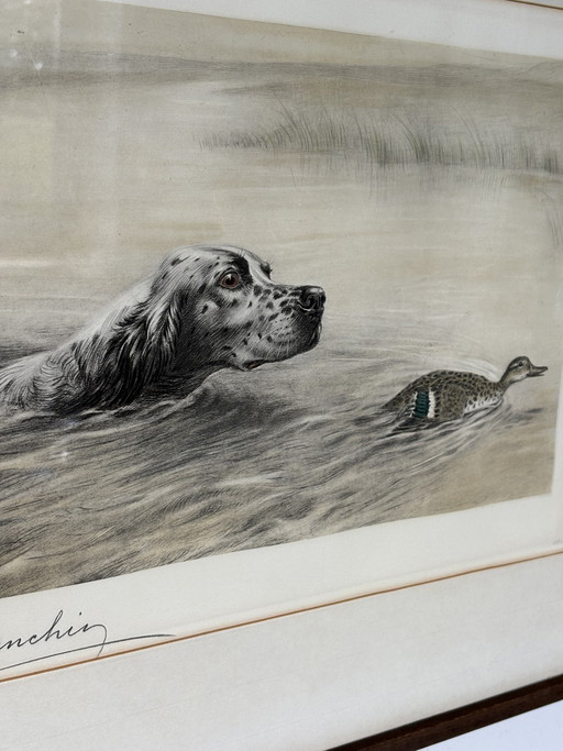 Original Léon Danchin Etching – English Setter & Duck – Signed Hunting Art
