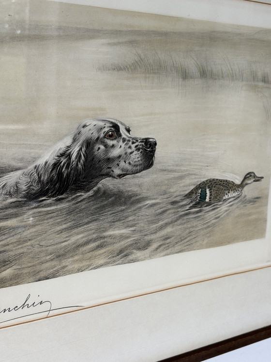 Image 1 of Original Léon Danchin Etching – English Setter & Duck – Signed Hunting Art
