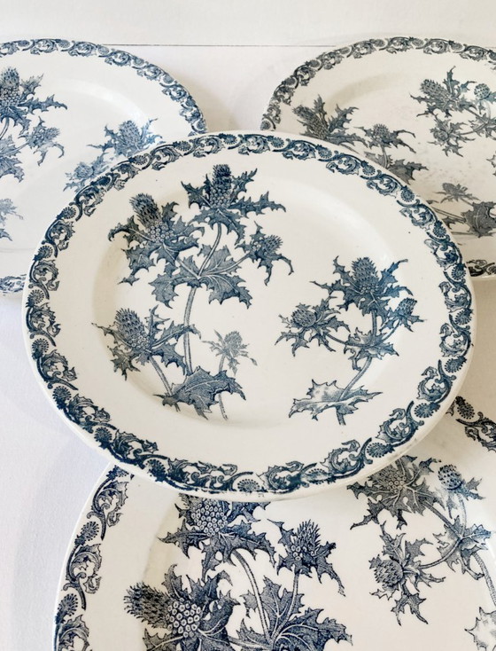 Image 1 of 4 Clairefontaine Ironstone Plates, Righi Pattern