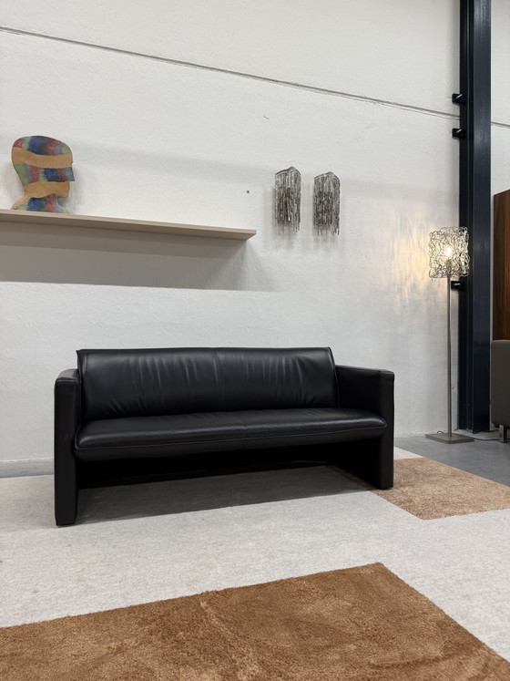 Divano Leolux Fiabo 2,5 posti in pelle nera – Divani 2 posti, Leather (photo 3 of 8)