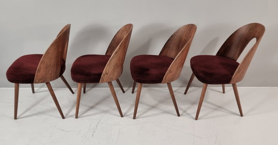 Image 1 of Chaises vintage d'Antonin Suman, années 1960, lot de 4