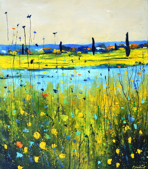 Colourful meadow