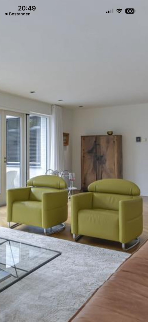 2 wunderschöne Designer-Sessel – Leolux, fauteuils, Leather, Metal