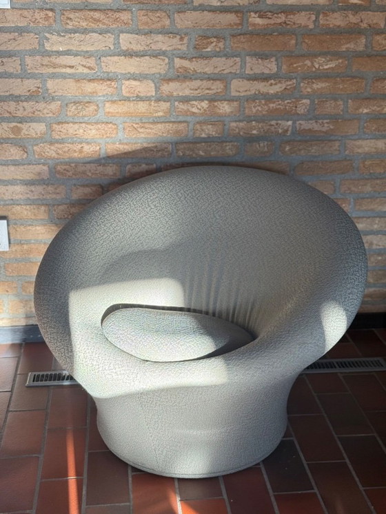 Image 1 of Poltrona Artifort a forma di fungo