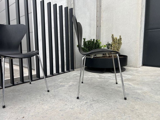 6 sedie Fritz Hansen, Arne Jacobsen