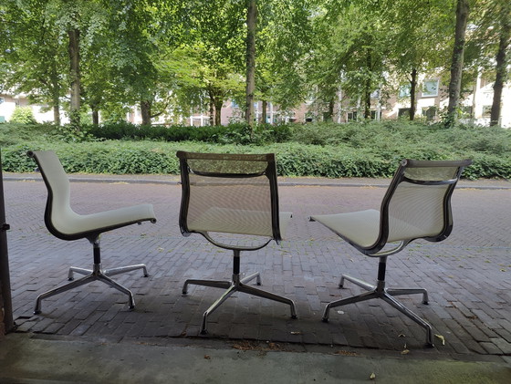3x Vitra swivel chairs EA 108 with white netweave – Chrome, Plastic (photo 6 of 10)