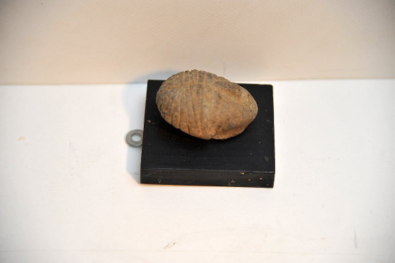 Pre-Columbian ceramic figurine, Decorative Objects, Beige (photo 5 of 6)