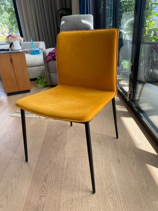 6x BoConcept NEWPORT dining chair - Velvet