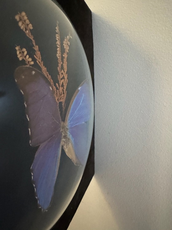 Cadre verre bombé papillon Morpho bleu ancien, Décorations murales, Velours (photo 2 sur 8)