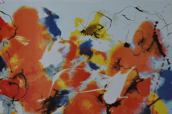 Image 1 of White Tulip - By Nic Jonk