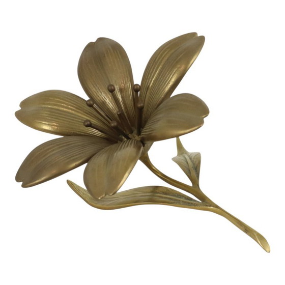 Posacenere con scultura a forma di giglio in ottone, stile metà secolo. – Oggetti decorativi, Brass (photo 18 of 18)