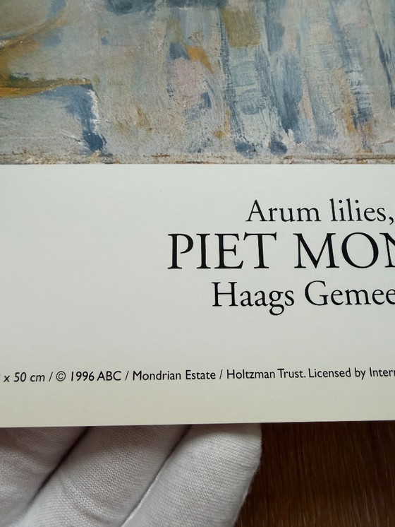 Image 1 of Piet Mondrian  (1872-1944), Aronskelken, ca. 1917, copyright 1996 ABC/Mondrian Estate...Printed in Holland #831