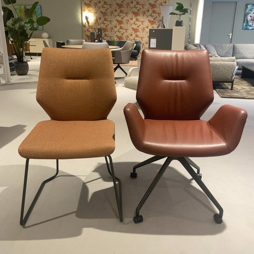 Leolux Mime dining chair (set of 5)