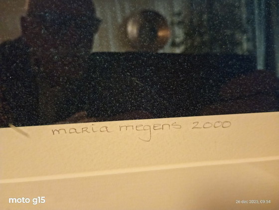Image 1 of 2 grote kleurrijke zeefdrukken van Maria Megens.