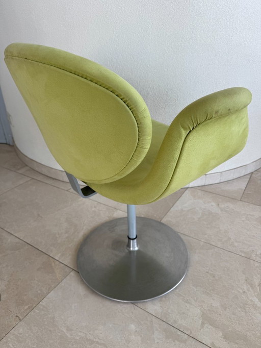 4 sedie Artifort Little Tulip. Da rivestire.