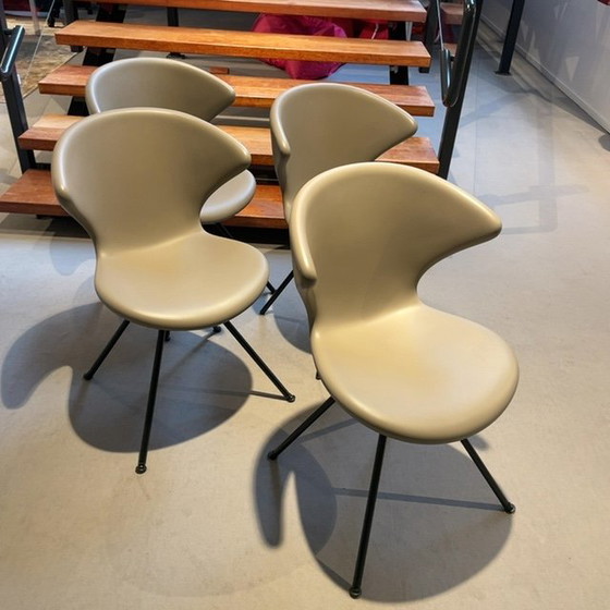 Image 1 of Sedia da pranzo Tonon Concept 2 (set di 4)