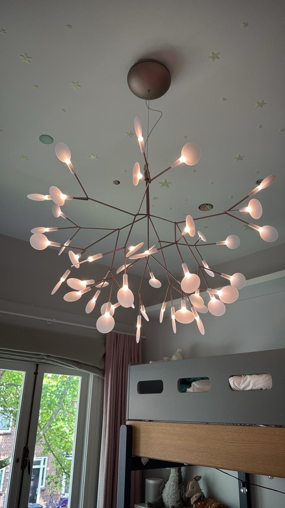 Image 1 of Lampada Heracleum piccola di Moooi