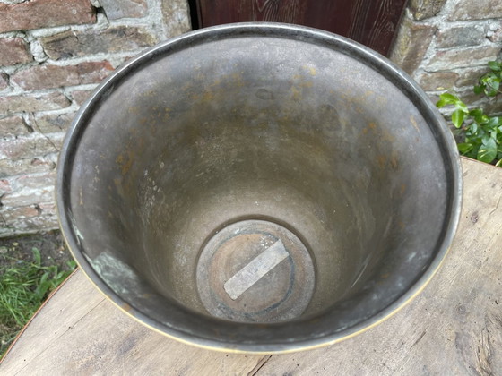 Image 1 of Enfriador de champán Enfriador de vino Louis Roederer plateado con cabezas de caballos