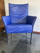 Royal Blue Charlie