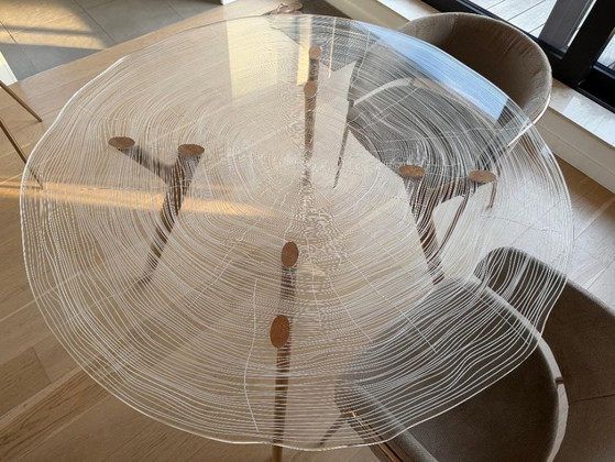 Mesa de comedor de diseño Roche Bobois - Plexiwood – Mesas de comedor, Plexiglass (photo 4 of 5)