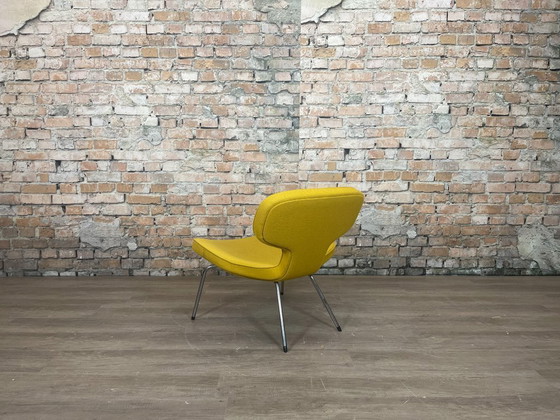 Image 1 of Artifort Libellula gialla