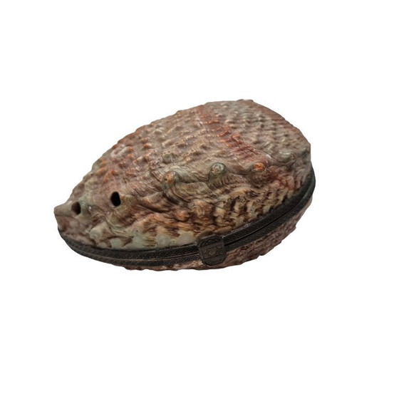 Image 1 of Ancienne boîte en coquille d'ormeau, début du 20e siècle