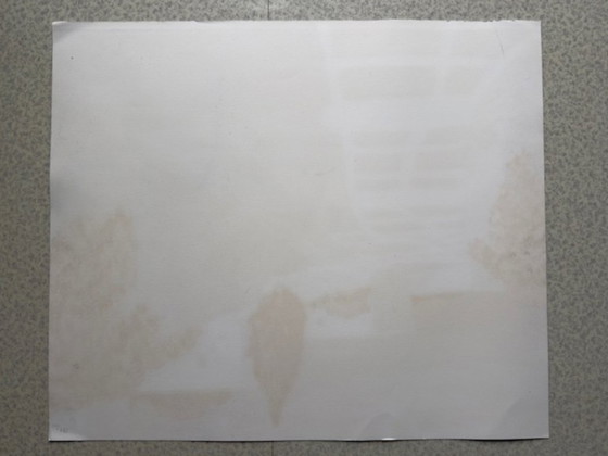 Image 1 of Lithograph "The Cypress" by Patrick Reault