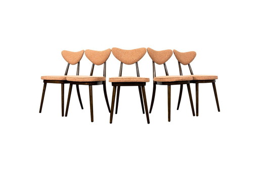 Set of 5 Chairs No 124 by H & J Kurmanowicz, Poland, 1950’s