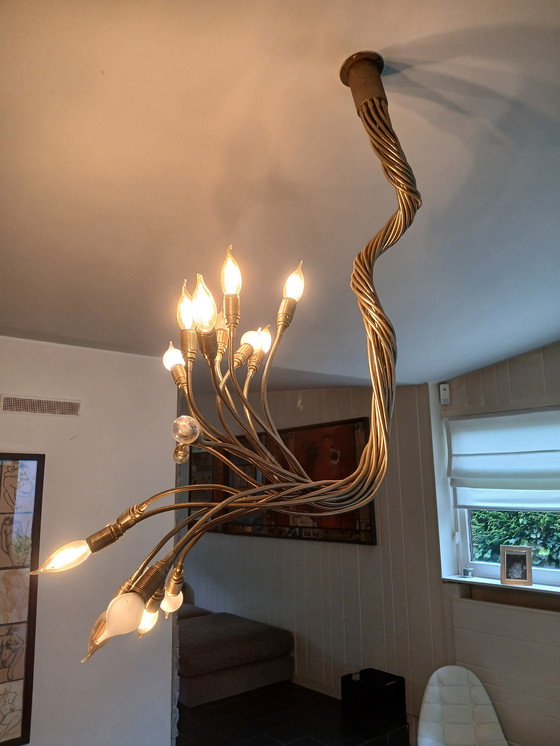 Image 1 of Luster Catelani & Smith