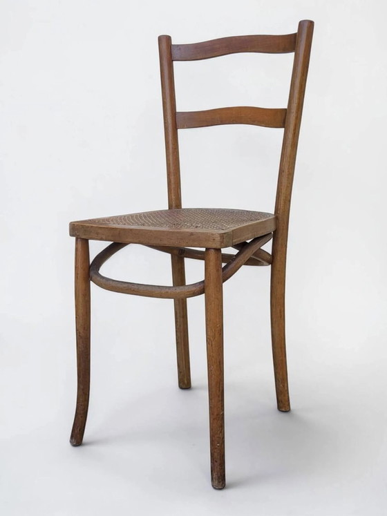 Sedia da bistrò impagliata – Sedie da pranzo, Wood, Art Nouveau (photo 2 of 12)