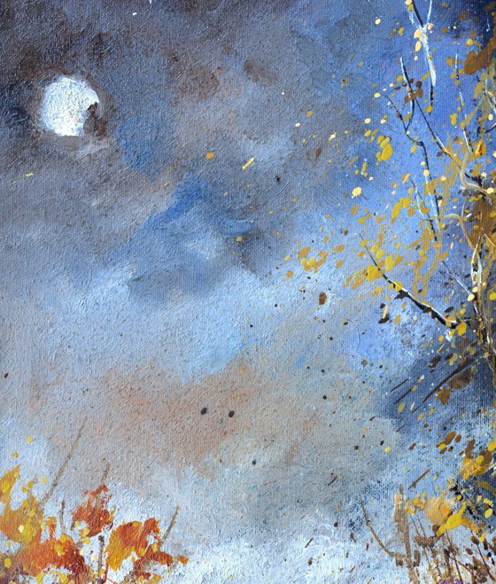 Image 1 of Liquore di luna