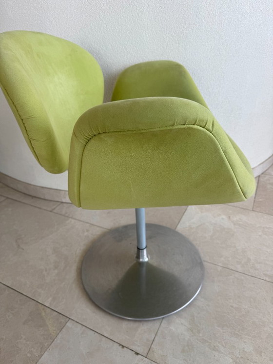 Image 1 of 4 sedie Artifort Little Tulip. Da rivestire.