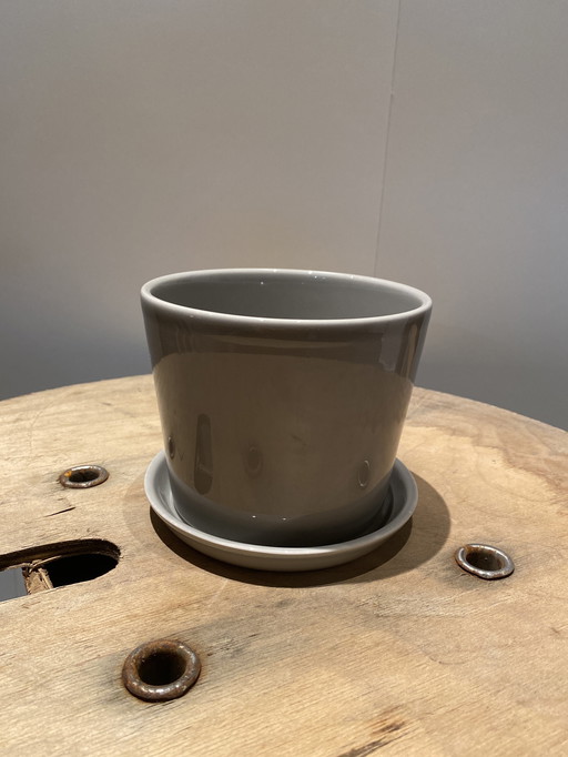 Hay botanical pot and saucer