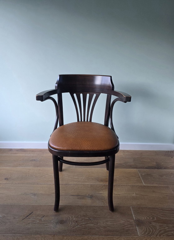 Image 1 of Chaise de café Satellite de style Thonet avec structure en autruche