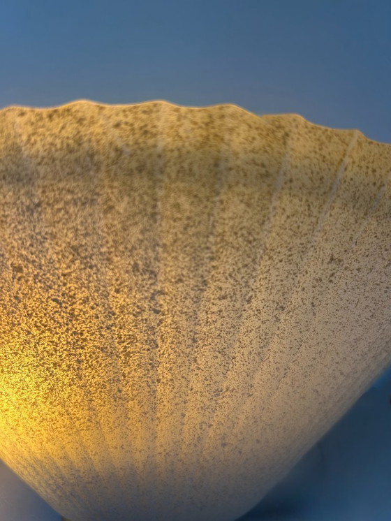 Image 1 of Coppia di applique vintage a conchiglia, vetro e ottone, Francia, 1970