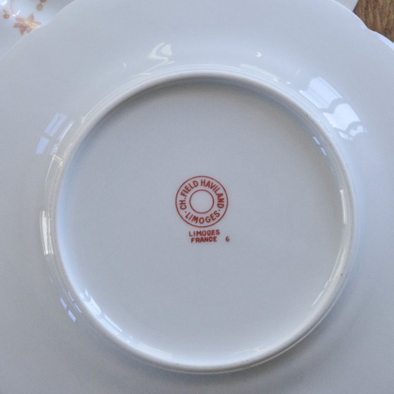 Image 1 of Piatti da dessert antichi in porcellana Limoges Haviland con decorazione a forma di uccello