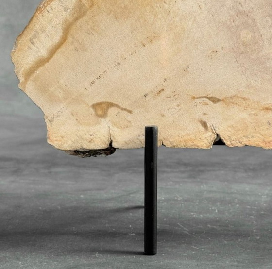 Image 1 of Madera fosilizada de Sooka, soporte hecho a medida (nuevo)