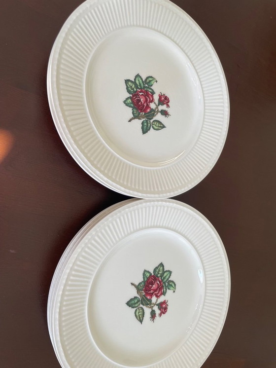 Image 1 of Wedgwood Moss rose