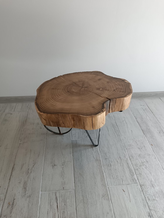 Image 1 of Acacia Bloom – Un omaggio alla grazia naturale