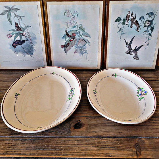 Image 1 of Plats Ovales Moulin des Loups Orchies Isabelle