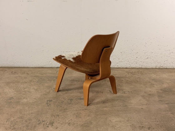 Image 1 of Eames Plywood Group LCW-stoel voor Vitra, ontworpen door Charles & Ray Eames, jaren 2000.