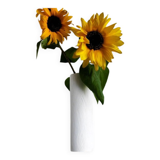 Image 1 of Mid-century modern Op-Art Studio Line bisque porcelain vase by Werner Schreib for Rosenthal, 1960s
