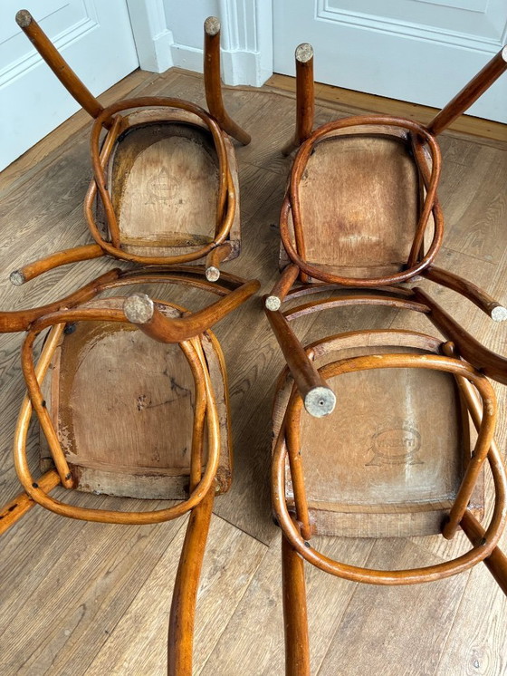 Image 1 of 4x Stühle im Thonet-Stil